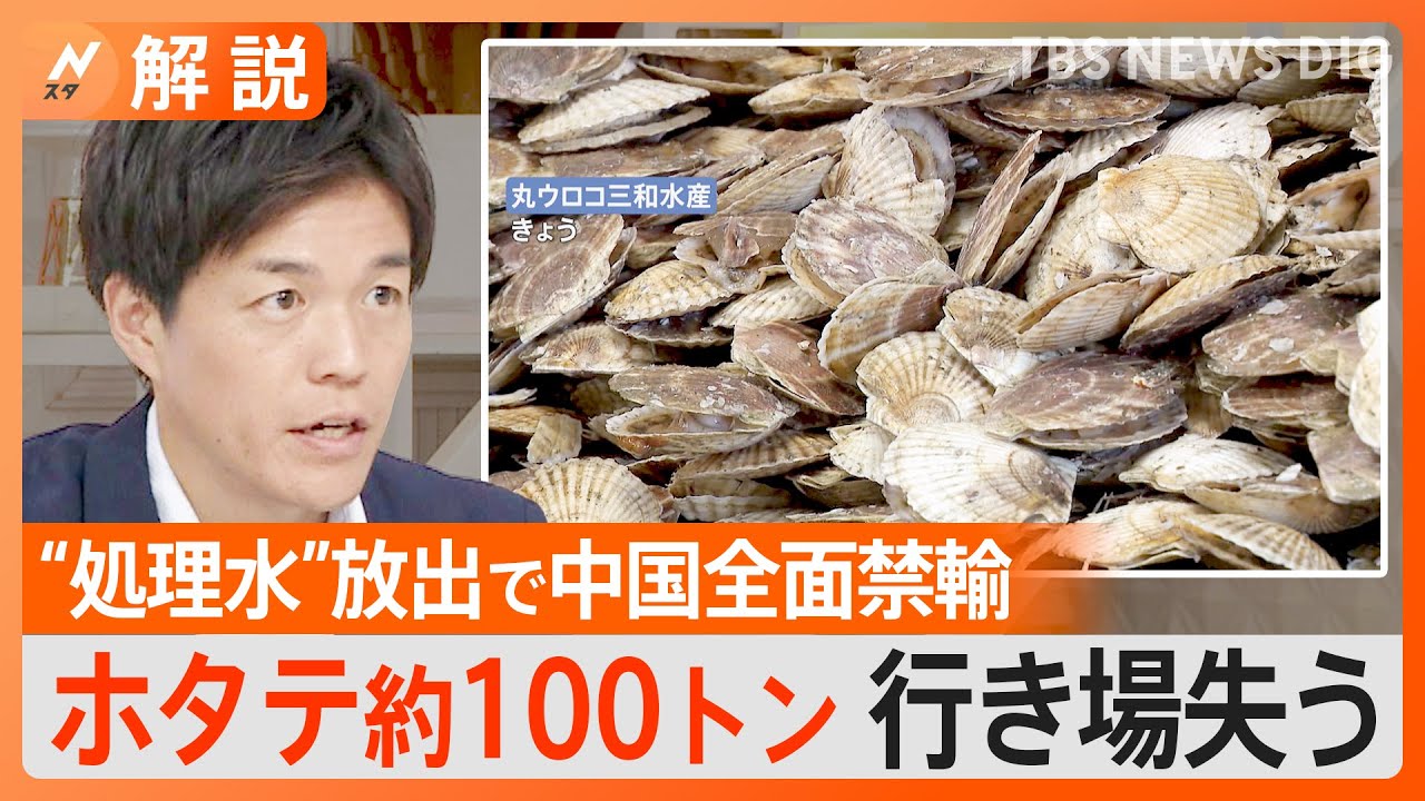 約100トンのホタテが行き場を失った業者も…中国が日本産の水産物禁輸でホタテに影響【Nスタ解説】｜TBS&nbsp;NEWS&nbsp;DIG
