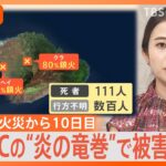 1000℃の“炎の竜巻”が襲う「火災旋風」で被害拡大か、ハワイ山火事で111人死亡【Nスタ解説】｜TBS NEWS DIG