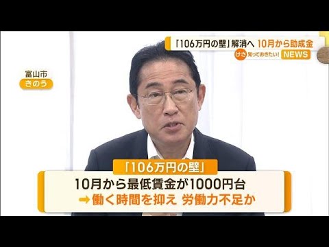 「106万円の壁」解消へ　10月から助成金制度開始　手取り収入減少分をカバー【知っておきたい！】(2023年8月11日)