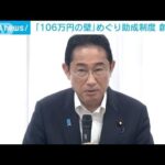 「106万円の壁」めぐり　新助成金制度　創設へ(2023年8月10日)