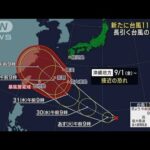 【気象予報士解説】台風11号発生 列島付近に3つの台風　今後の進路・影響は(2023年8月28日)