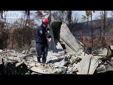 ハワイ山火事の犠牲者111人に　原因“強風下で送電止めず”の指摘も(2023年8月17日)