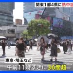東京や埼玉などでは午前11時すぎに36度超　危険な暑さで各地に「熱中症警戒アラート」｜TBS NEWS DIG
