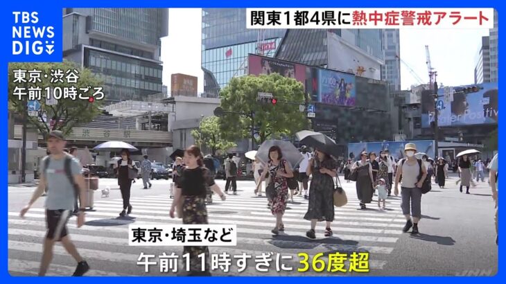 東京や埼玉などでは午前11時すぎに36度超　危険な暑さで各地に「熱中症警戒アラート」｜TBS NEWS DIG