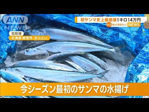 “初サンマ”史上最高値　1キロ14万円【知っておきたい！】(2023年8月21日)