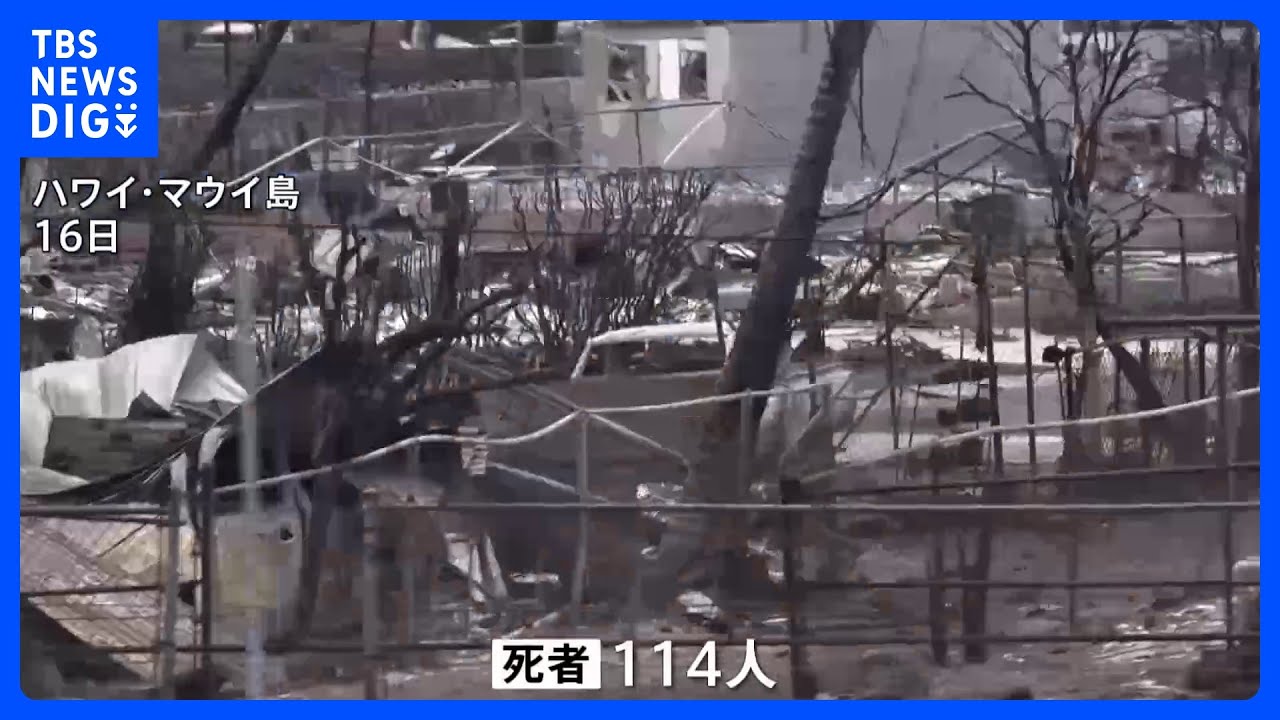 ハワイ・マウイ島の山火事　死者114人に　身元が特定されたのは依然10人だけ｜TBS&nbsp;NEWS&nbsp;DIG