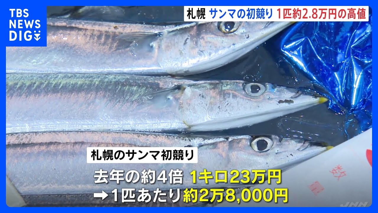 庶民の魚が“高級魚”に…サンマ初競り　1匹約2.8万円の高値も｜TBS&nbsp;NEWS&nbsp;DIG