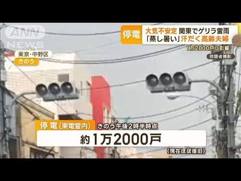 関東で激しい雷雨　1万2000戸で停電…「蒸し暑いのが」家の中うだる　各地で被害も【もっと知りたい！】(2023年8月2日)