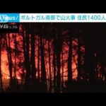 ポルトガル南部で大規模な山火事　地元住民ら1400人が避難(2023年8月8日)