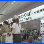 “混乱”続く東海道新幹線 17日のダイヤ乱れで約21万人に影響　18日は平常ダイヤで運行へ｜TBS NEWS DIG