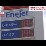 “最高値”ガソリン価格185.6円　電気ガス10月料金　値上がり発表(2023年8月30日)