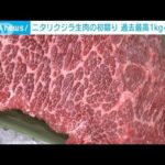 ニタリクジラ生肉の初競り　1kg40万円“最高値”を更新(2023年8月8日)
