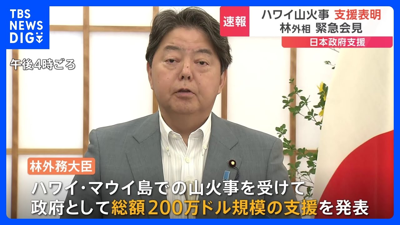 日本政府が200万ドル規模の支援を表明　ハワイ・マウイ島山火事｜TBS&nbsp;NEWS&nbsp;DIG