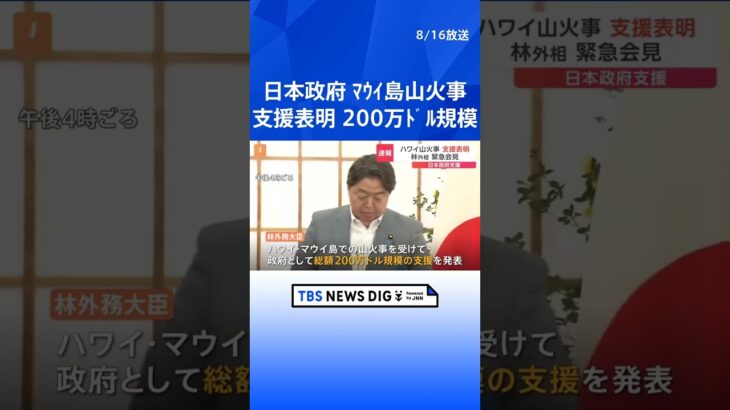 日本政府が200万ドル規模の支援を表明　ハワイ・マウイ島山火事｜TBS NEWS DIG #shorts