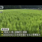 原発事故「除染土」を農業利用　専門家が視察(2023年8月5日)