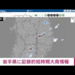 【速報】岩手県で記録的短時間大雨情報(2023年8月5日)