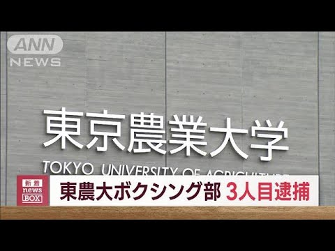 東農大ボクシング3人目逮捕　“乾燥大麻”販売目的で所持か(2023年8月10日)