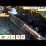 「エサ場」兼「遊び場」？　養魚場にクマ出没3回…ヤマメ200匹食べられる【知っておきたい！】(2023年8月30日)