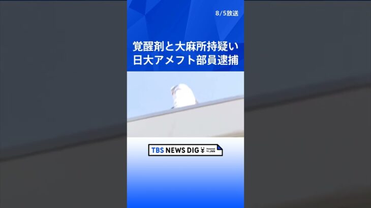 日大アメフト部3年の男を逮捕　寮で覚醒剤2片と大麻所持の疑い  | TBS NEWS DIG #shorts