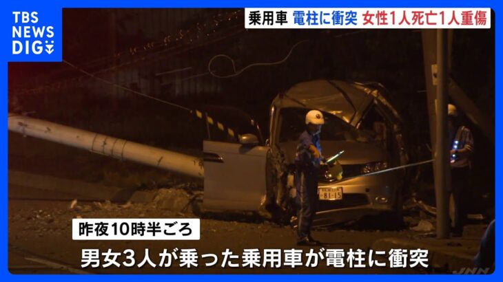 男女3人が乗った乗用車が電柱に衝突　20代女性が死亡　10代女性が重傷　札幌・西区｜TBS NEWS DIG