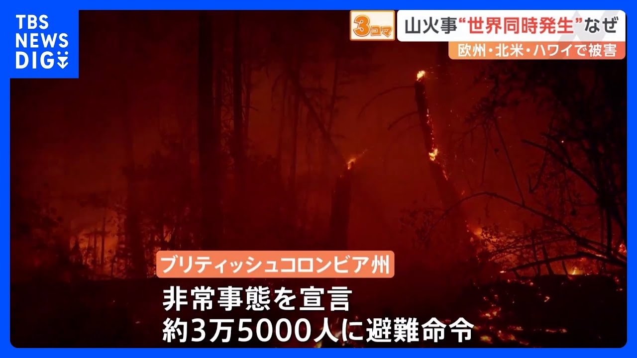 カナダ　山火事で非常事態宣言　約3万5000人に避難命令　1000か所以上で火災続く｜TBS&nbsp;NEWS&nbsp;DIG