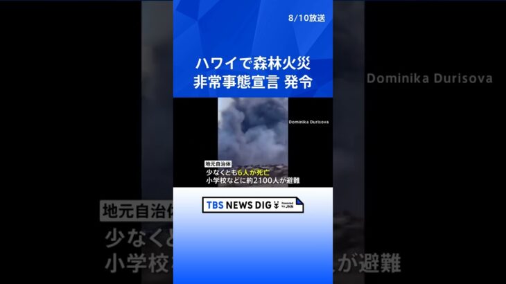 森林火災で少なくとも6人が死亡　約2100人が避難　現時点で日本人の被害報告なし　ハワイ・マウイ島｜TBS NEWS DIG #shorts