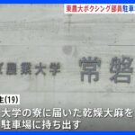 【速報】東京農大ボクシング部員を再逮捕 販売目的で大麻所持の疑い 警視庁｜TBS NEWS DIG