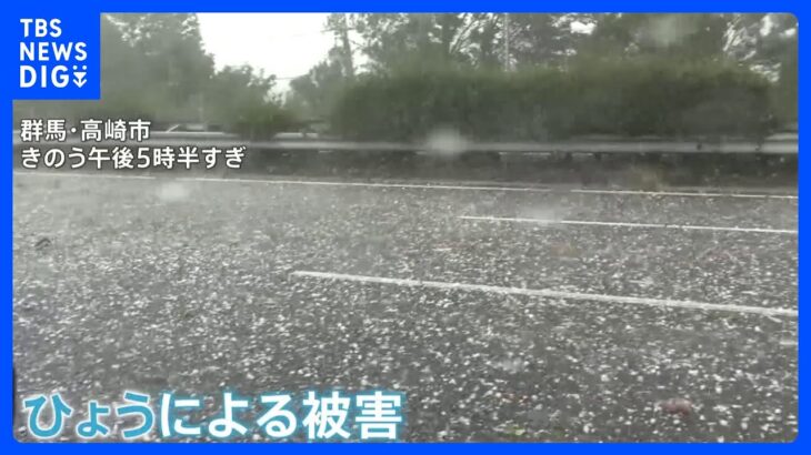 関東では「ひょう」被害　病院ガラス割れる　直径が5ミリ以上になる氷の塊　時速換算で50キロに達する｜TBS NEWS DIG