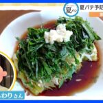 【ぼくのわたしの夏メシ】夏バテ予防にぴったりの料理“ナスの煮浸し”｜TBS NEWS DIG