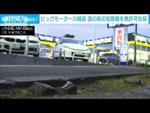 ビッグモーター川崎店が街路樹を無許可伐採　市の調査に認める(2023年8月1日)