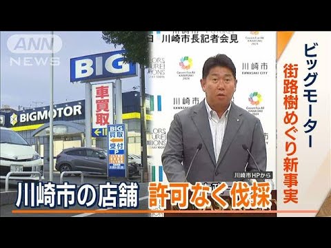 除草剤だけでなく…無許可で街路樹“伐採”　ビッグモーター川崎店が認める　市長怒り(2023年8月2日)