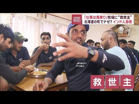 北海道の町でナゼ？インド人急増　「仕事は馬乗り」牧場に“救世主”(2023年8月3日)