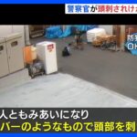 男性警察官がドライバーのようなもので頭刺される　刺した男は逃走中　大阪｜TBS NEWS DIG