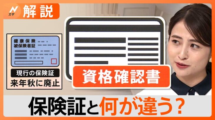 「マイナ保険証」持たない人に「資格確認書」交付、約240億円コスト増!?「健康保険証」廃止へ【Nスタ解説】｜TBS NEWS DIG