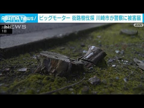 ビッグモーター“街路樹”問題　川崎市が警察に被害届(2023年8月5日)