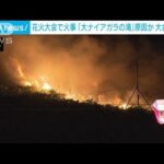 花火大会で火事 「大ナイアガラの滝」原因か  東京・板橋区(2023年8月5日)