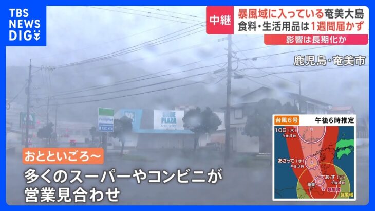 暴風域に入っている奄美大島 フェリーの欠航続き… 食料・生活用品は1週間届かず　台風6号 厳重警戒｜TBS NEWS DIG