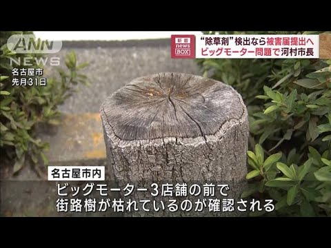 “除草剤”検出なら被害届提出へ　ビッグモーター問題で河村市長(2023年8月7日)