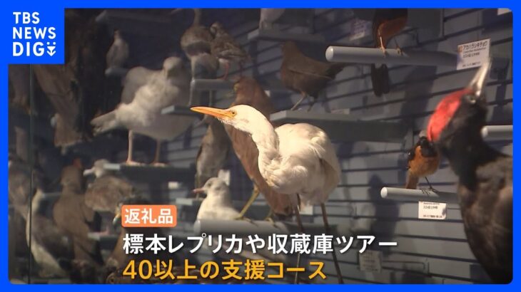 物価高で資金難…国立科学博物館がクラファン開始　返礼品は標本レプリカや 収蔵庫ツアーなど　11月5日まで募集｜TBS NEWS DIG