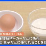 本物の卵と混ぜる「ハイブリッド」な代替卵　課題だった「味」を改善｜TBS NEWS DIG