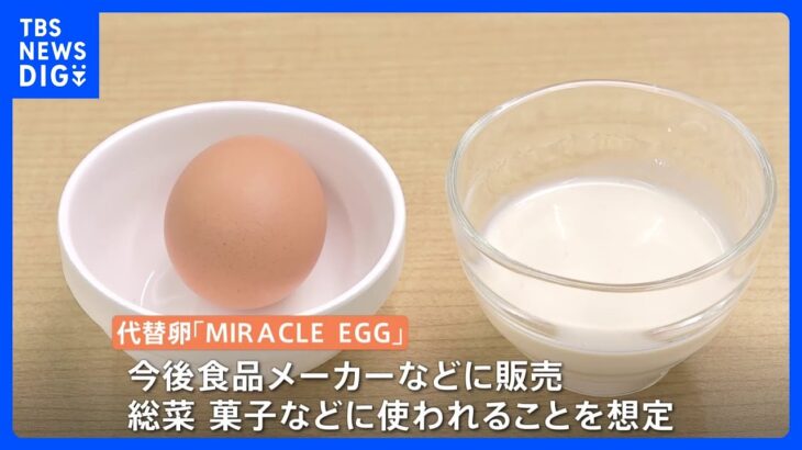 本物の卵と混ぜる「ハイブリッド」な代替卵　課題だった「味」を改善｜TBS NEWS DIG
