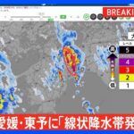 愛媛県に「線状降水帯発生情報」発表　大雨による水害や土砂災害などの危険度が急激に高まっているおそれ｜TBS NEWS DIG