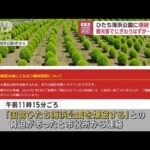 ひたち海浜公園に爆破予告が　観光客でにぎわうはずが閉鎖に(2023年8月10日)