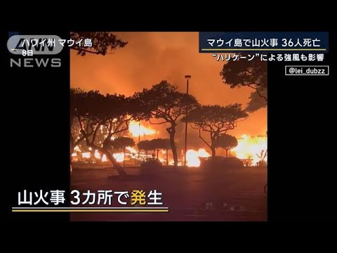 「重要書類だけ持ち出して避難」ハワイ・マウイ島で山火事　1万1000人以上が島外(2023年8月10日)