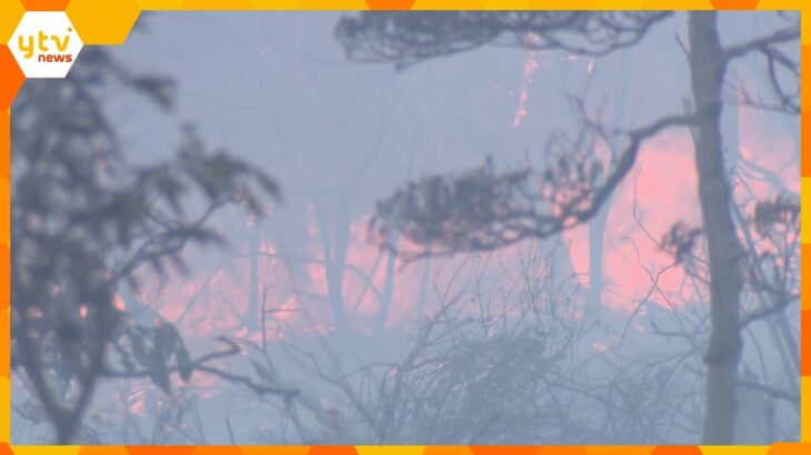 消火活動は約１４時間に及ぶ　海水浴場近くの防風林の火事、ほぼ消し止められる　京都・京丹後市