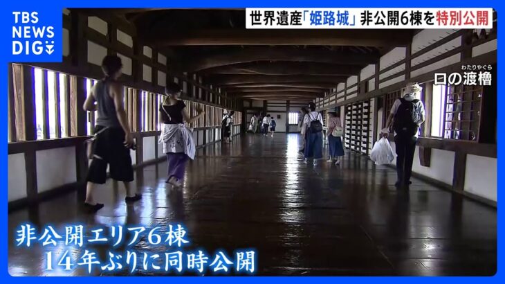 世界遺産「姫路城」 非公開エリアを“特別公開”　来月24日まで開催｜TBS NEWS DIG