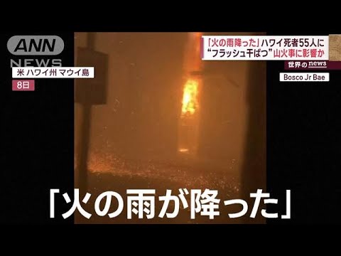 「火の雨降った」ハワイ“最大被害”山火事　死者55人 所在不明1000人以上(2023年8月11日)