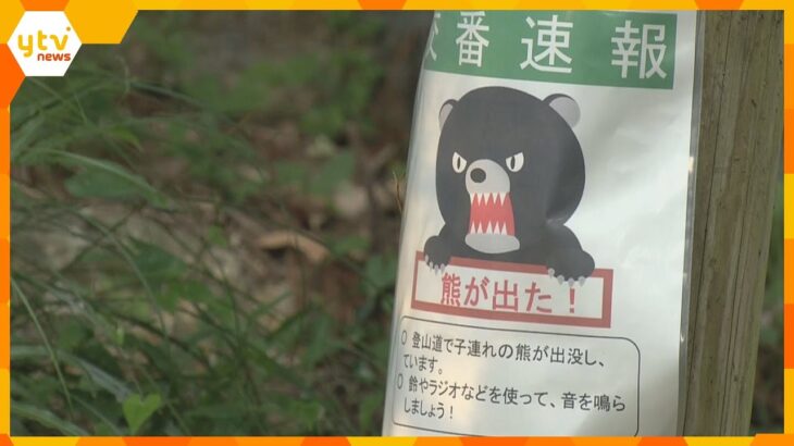 女性がクマに襲われケガ　京都市左京区の登山道　手首や腕など４か所引っかかれる　警察が注意呼びかけ