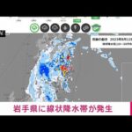 【速報】岩手県に線状降水帯が発生　顕著な大雨に関する情報を発表　気象庁(2023年8月12日)