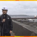 「３０人弱くらいの予約が全部なくなった」和歌山・串本町のダイビングショップ　台風７号の影響